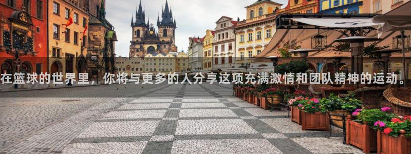 77体育app下载官网