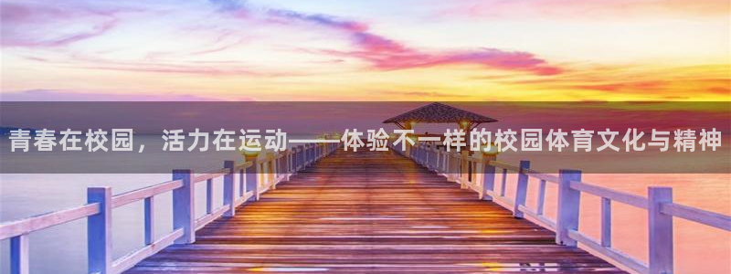 77体育官网