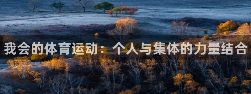 77体育官网