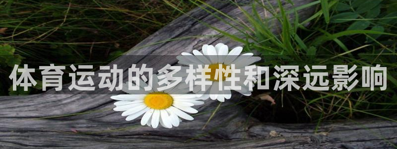 77体育