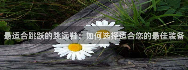77体育