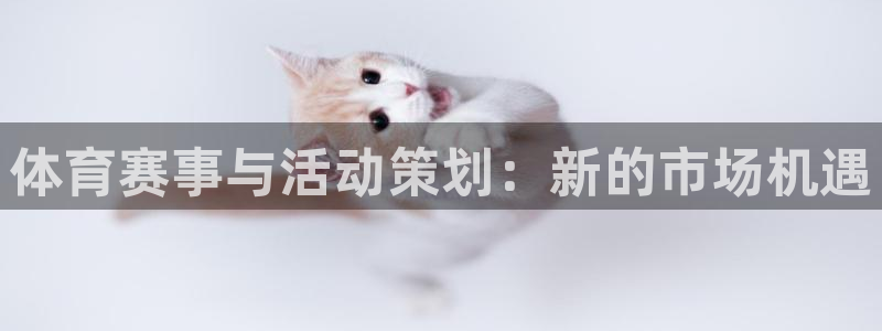 77体育