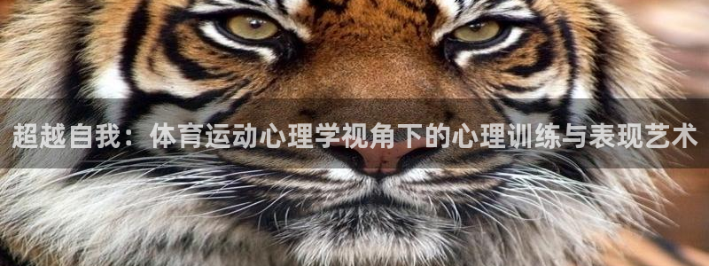 77体育官网