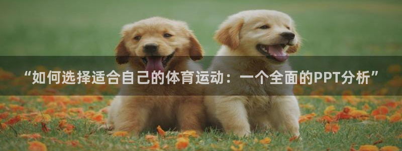 皇冠277体育