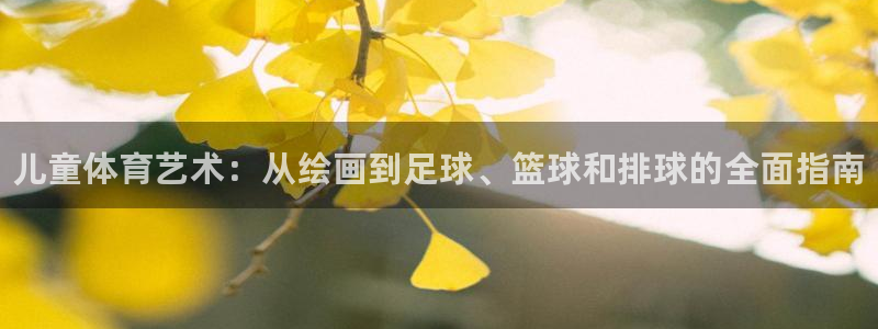 77体育