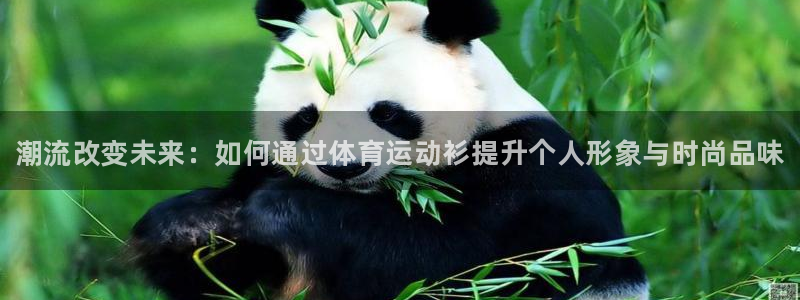 77体育官网
