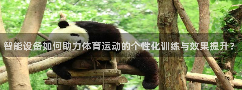 77体育官网