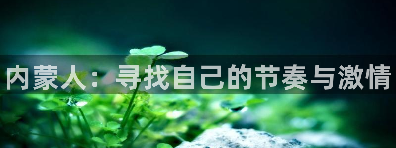 77体育app下载官网