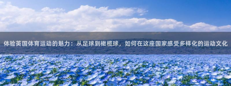 77体育官网