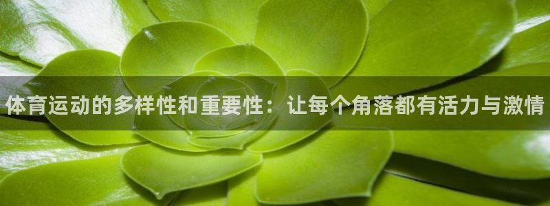 77体育
