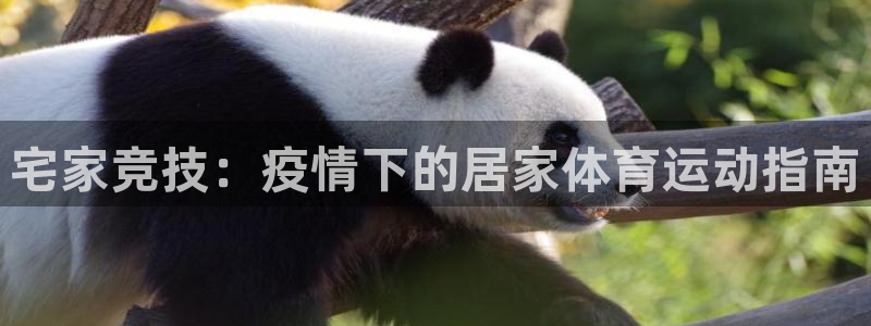 皇冠277体育