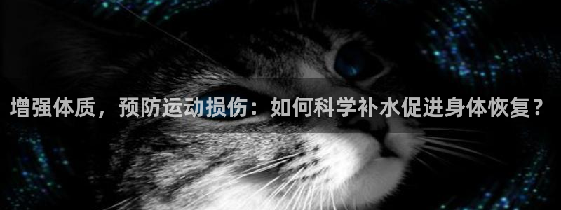 77体育官网
