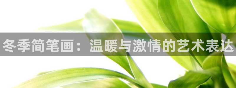 77体育