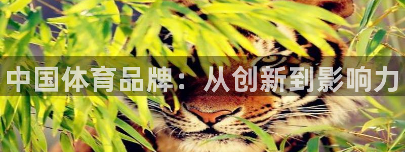 77体育官网