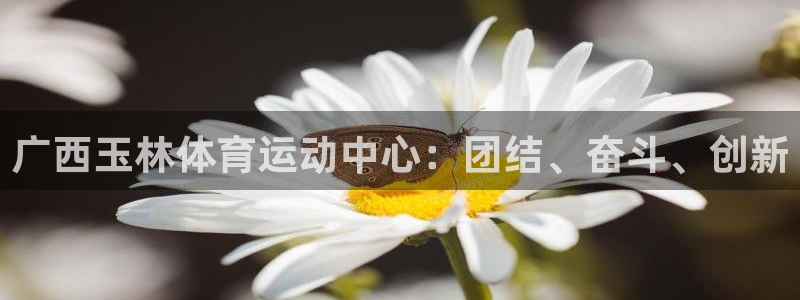 77体育