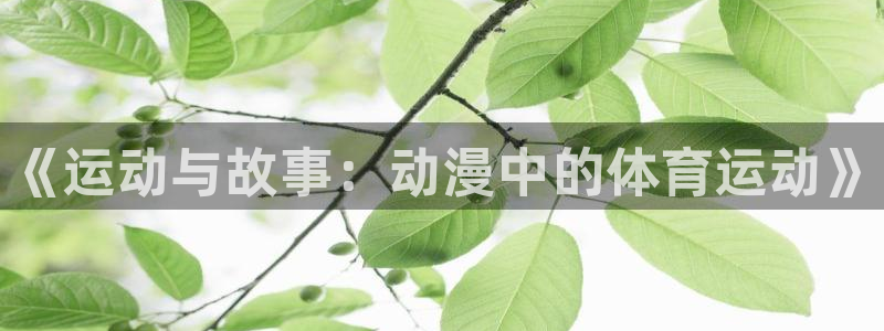 77体育官网