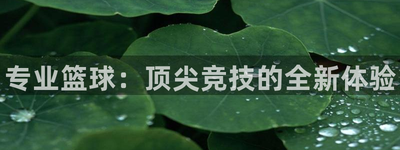 皇冠277体育