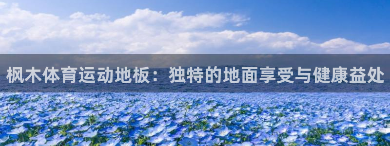 77体育app下载官网