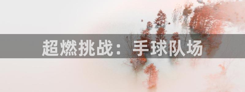 77体育官网