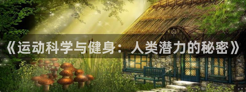 77体育app下载官网