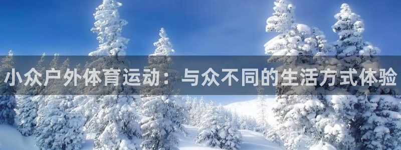 77体育官网