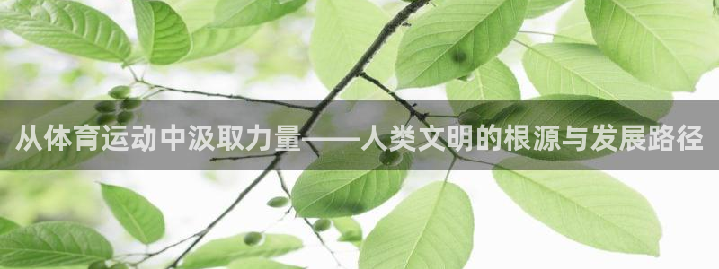 77体育app下载官网
