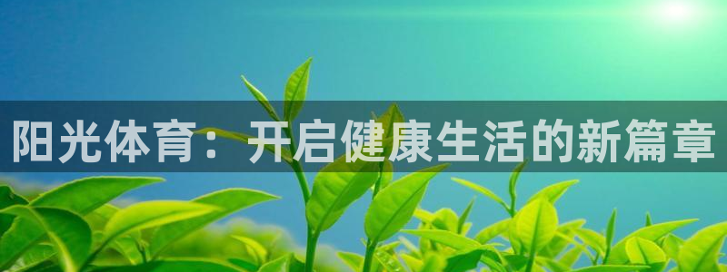 77体育app下载官网
